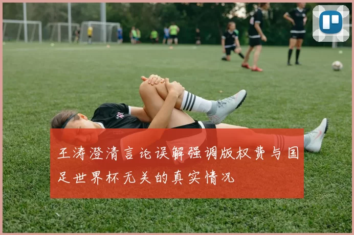 王涛澄清言论误解强调版权费与国足世界杯无关的真实情况