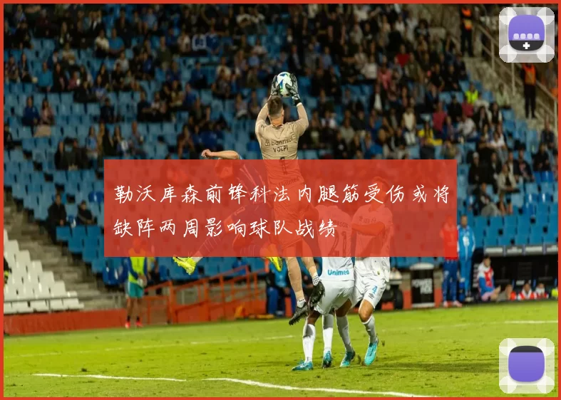 勒沃库森前锋科法内腿筋受伤或将缺阵两周影响球队战绩