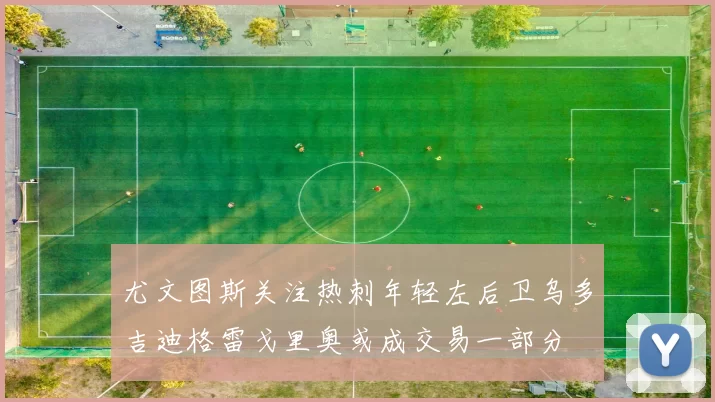 尤文图斯关注热刺年轻左后卫乌多吉迪格雷戈里奥或成交易一部分